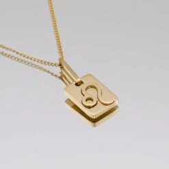 Zodiac Symbol Necklace -Prya Store ZodiacSymbolNecklaceLeomirror