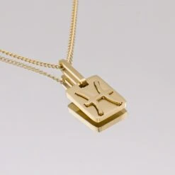 Zodiac Symbol Necklace -Prya Store ZodiacSymbolNecklacePiscesmirror