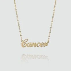 Zodiac Name Necklace 30 Zodiac Name Necklace -Prya Store Zodiac Name Necklace 4 1
