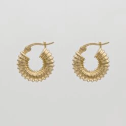 Zuri Ridge Hoop Earrings -Prya Store ZuriRibbedEarring G 7 PRYA