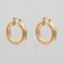 Sara Thick Hoops 7 Sara Thick Hoops -Prya Store sarathickhoops2 2